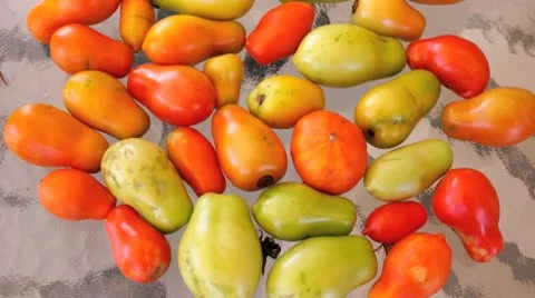 AUSTRALIA-TOMATOES-POOR CROP 1 Stock Footage