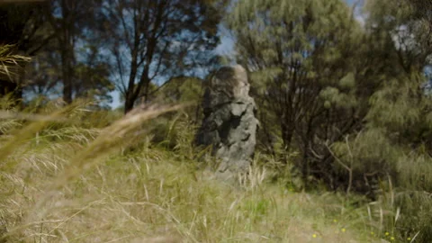Australia VIC Mt William Quarry Axe Stone 2 Rock Formation Wheat G Stock Footage 227635441