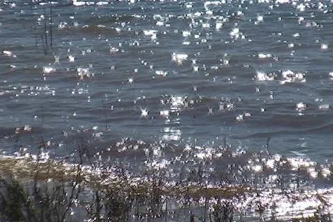 AUSTRALIA-WATER 2 Stock-Footage 278470