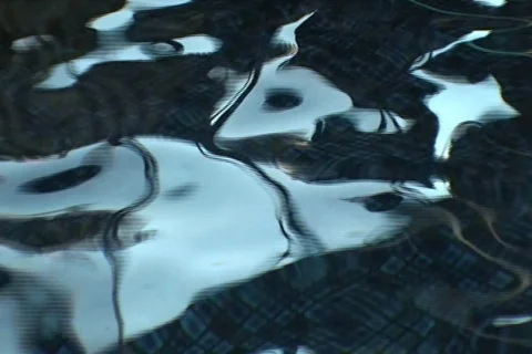 AUSTRALIA-WATER-REFLECTIONS 2 Stock Footage 314812