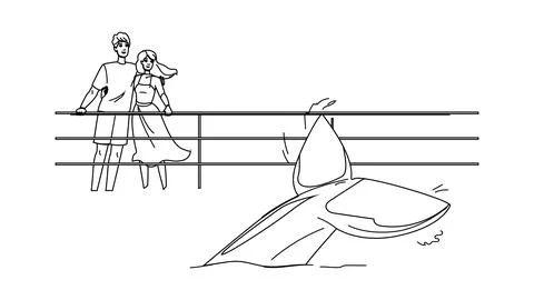 Australia whale watching vector Stock Illustration
