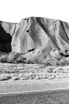AUSTRALIA,AYERS ROCK-CIRCA  AUGUST 2017- in  ayers rock park  and bush 写真素材