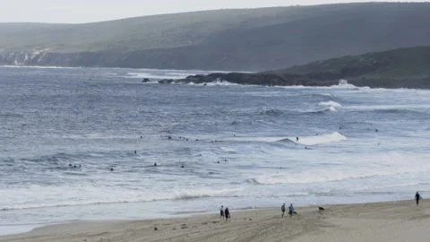 Australian beach in the summer 库存影片 149331177