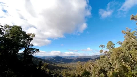 Australian Bush-1 Stock Footage 330717985