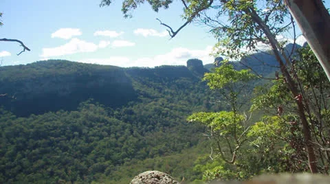 Australian bush 720p 库存影片 25848271