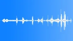 Australian Bush Atmosphere Atmosphere Sound Effect