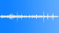 Australian Bush Atmosphere Busy Sound Effect