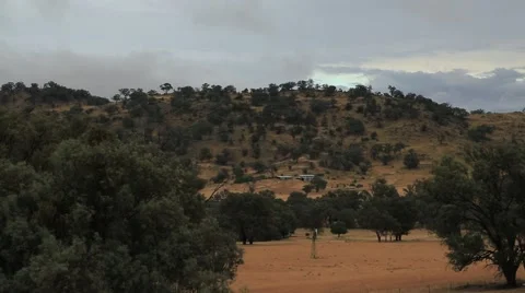 Australian Bush Vídeo Stock 44147488