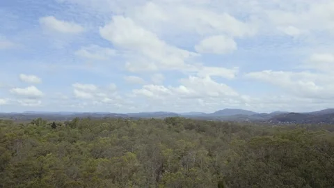Australian Bush Landscape Video stock 148186861