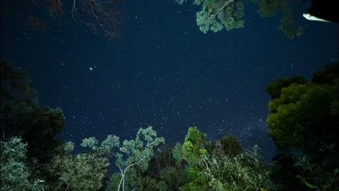 AUSTRALIAN BUSH NIGHT Stock Footage 101927290
