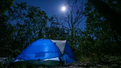 AUSTRALIAN BUSH NIGHT Stock-Footage 101927331