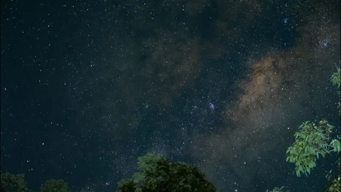 AUSTRALIAN BUSH NIGHT Stock Footage 101928412