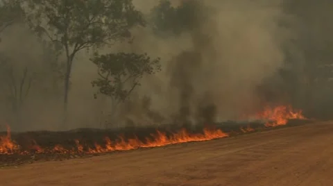 Australian Bushfire Stock Footage 12491951