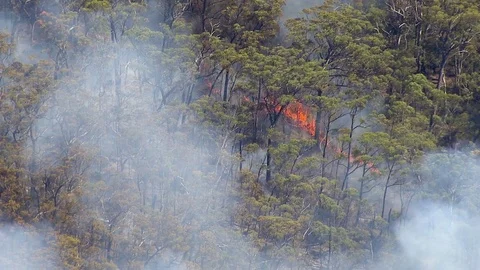 Australian bushfire Vidéo 82929528