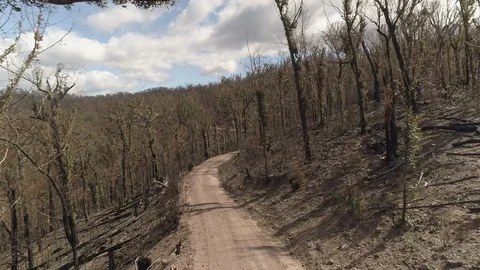 Australian Bushfires 1 Stock Footage 128719991