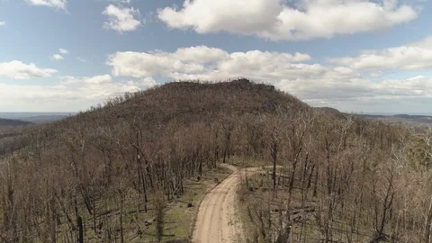 Australian Bushfires 2 Stock Footage 128719895