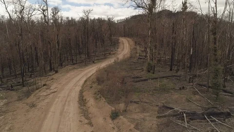 Australian Bushfires 4 Stock Footage 128720015