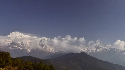 Australian camp Stock Footage 41011975