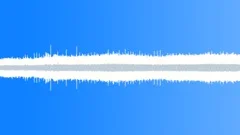 Australian City Park Ambience, Bird Singing, Crickets, Light Wind, Loop Sound Effect
