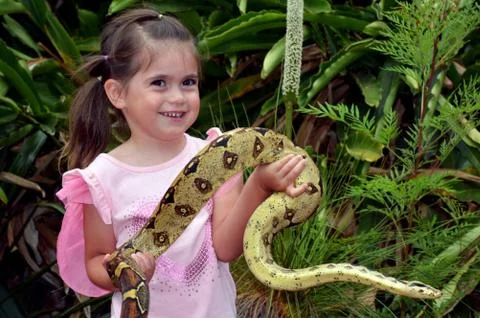 Australian coastal carpet python snake Photos