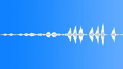 Australian Cockatoo 1 Sound Effect