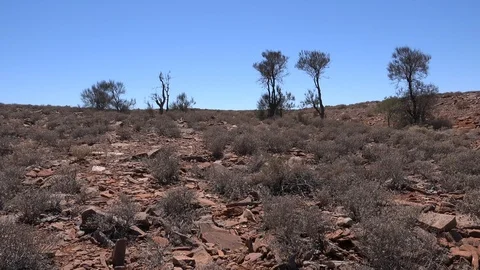 Australian Desert 3 Stockbeeldmateriaal 119253846