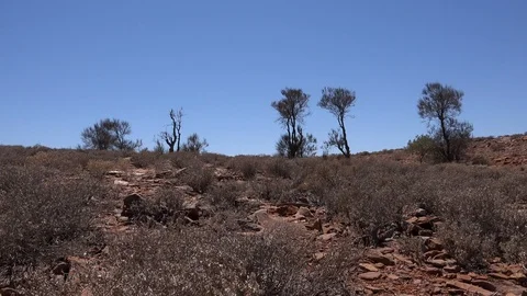 Australian Desert 4 Stockbeeldmateriaal 119254064