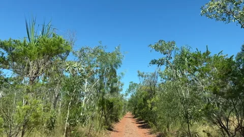 Australian Dirt road Stock Footage 241126229