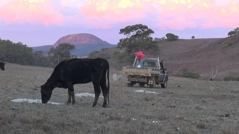 Australian Drought 3 Video stock 114163270