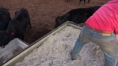Australian Drought 7 Video stock 114163273