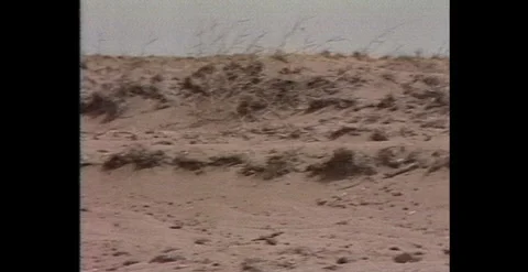 Australian Drought – Environmental Impact (1982) Video stock 310036165