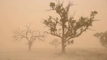 Australian dust storm Stock Footage