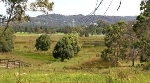 Australian field Stock Footage 1068642