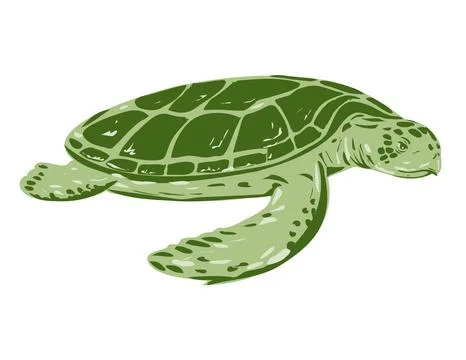 Australian Flatback Sea Turtle Side View WPA Art. Stock Illustration