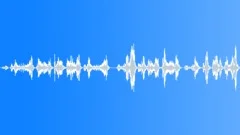Australian Frogmouth Sound Effect