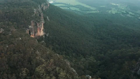 Australian Jungle Stock Footage 154803937