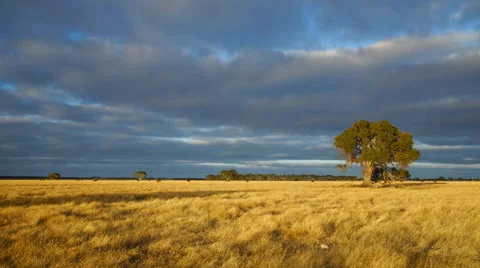 Australian landscape Stock Footage 34338091