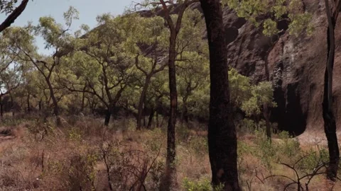 Australian Landscape in the Outback during dry summer - 2020 Stock Footage 139804164