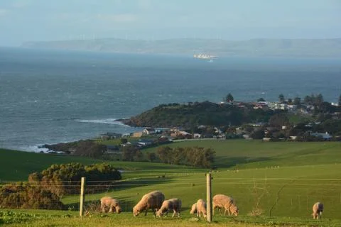 Australian landscape Stock Photos