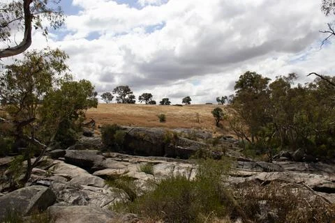 Australian Landscape 스톡 사진