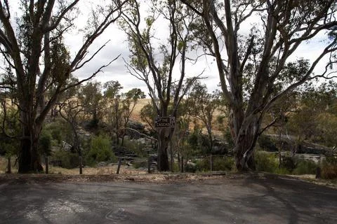 Australian Landscape 스톡 사진