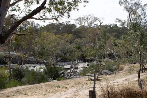Australian Landscape 스톡 사진