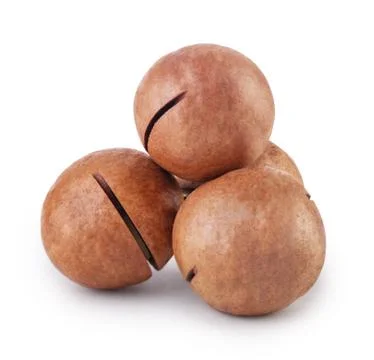 Australian macadamia nut Stock Photos