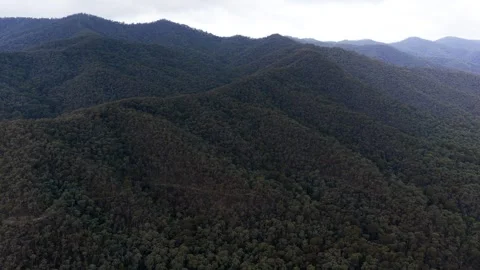 Australian Mountain Covered By Trees, Drone View 動画素材 335509579