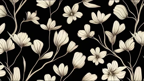Australian native flowers. Seamless animation black background. Botanical Stock Footage 220128080