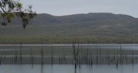 Australian Outback Lake with Dead Trees Video stock 331225930