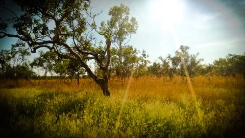 Australian outback 库存照片