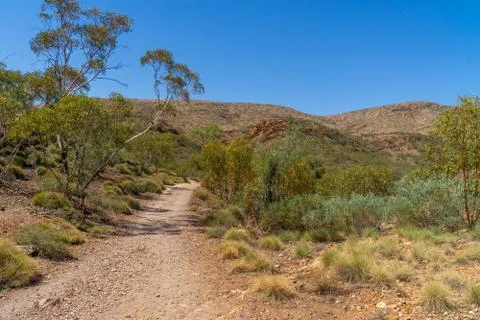 In the Australian outback a sandy path leads to the horizon Stock Photos