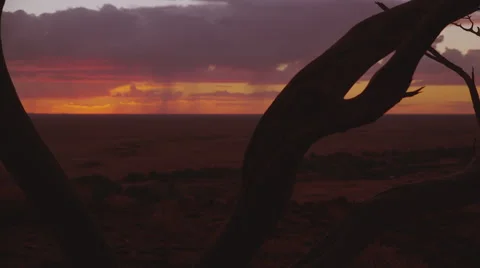 Australian outback sunset desert. tree branch silhouette 4K AVAILABLE Stockbeeldmateriaal 40857539