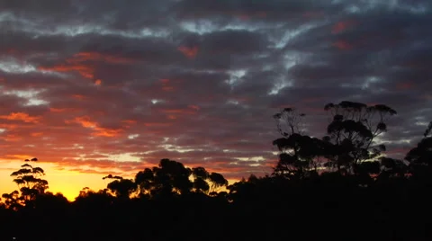 Australian outback sunset 库存影片 1033182